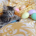 Easter Mayfield Photo 7