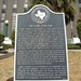 Henry Kinney Photo 16