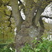 Beth Pollard Photo 16
