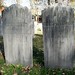 Thomas Walden Photo 14