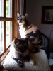 Gayle Scott Photo 32