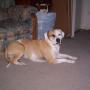 Debbie Milligan Photo 38