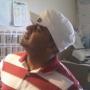 Niraj Patel Photo 25