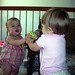 Elizabeth Haley Photo 18