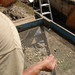 Mark Haviland Photo 24