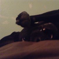 Christopher Ahern Photo 9