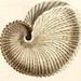 Allan Hatch Photo 8