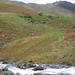 Janet Gill Photo 13