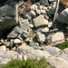 Joshua Gabel Photo 8