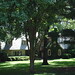 Edward Hammon Photo 9