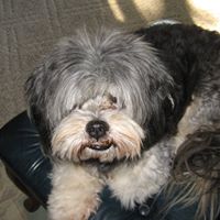 Paul Snider Photo 11