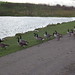 George Herrington Photo 7