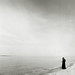 Allison Port Photo 1