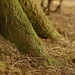 Dawn Squires Photo 17