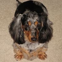 Sue Rogers Photo 39