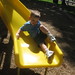 Philip Arnold Photo 16