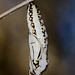 Jon Holmes Photo 34