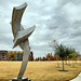 Kevin Robb Photo 23