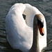 Fred Friend Photo 11