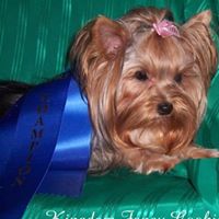 Sheila Slade Photo 5