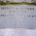 Andrew Wilcox Photo 38