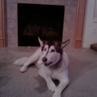 Terry Wolf Photo 12