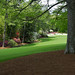 Clifford Jones Photo 17