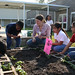 Sharon Gross Photo 19