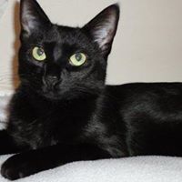 Opal Cook Photo 3