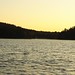 Thomas Bunn Photo 34