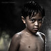 Alvin Sharp Photo 16