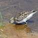 Lesa Meadows Photo 4