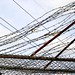 Rusty Sharp Photo 16