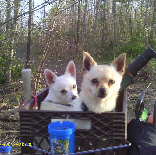 Sherry Huntington Photo 4