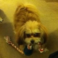 Cindy Dawson Photo 22
