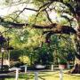 Bruce Magee Photo 25