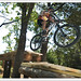 Shane Draper Photo 29