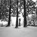 John Tabor Photo 17