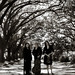 Jennifer Drummond Photo 33