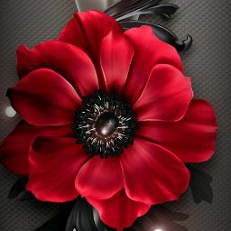 Katrina Flowers Photo 7