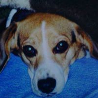 Gina Nance Photo 15