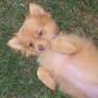 Kimberly Felder Photo 13