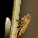 Jon Hopper Photo 20