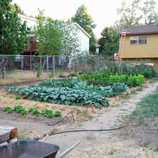 Hunter Hill Photo 34