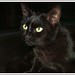 Cindy Fouche Photo 11