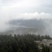 Misty Lyons Photo 35