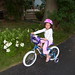 Connie Lillie Photo 6