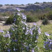 Allen Weiss Photo 11