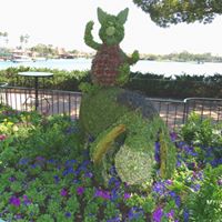 Lori Schneider Photo 41