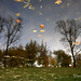 Hien Tran Photo 34